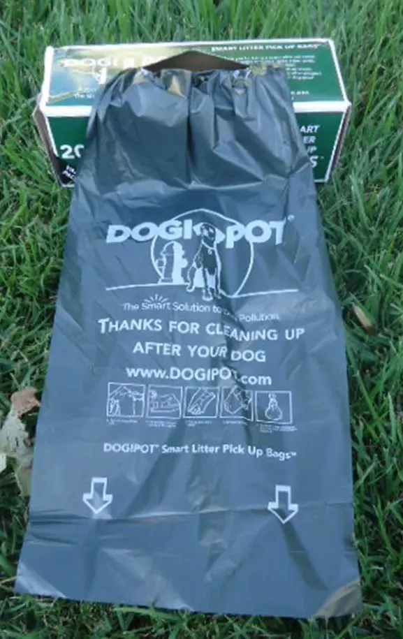Open_Roll_On_Grass.webp